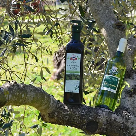 Il Laghetto * Grosseto